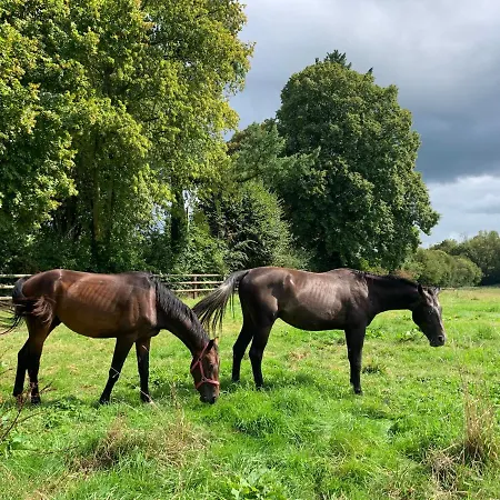 Сasa de vacaciones La Cidrerie Du Haras Leaupartie