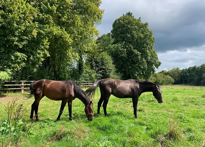 Vakantiehuis La Cidrerie Du Haras Leaupartie